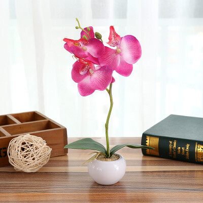 

Moth Orchid Ornament Simulation Bonsai Artificial Flower Potted Plant Home Decor