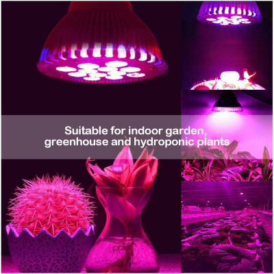 

12 W E27 12 LED Grow Light