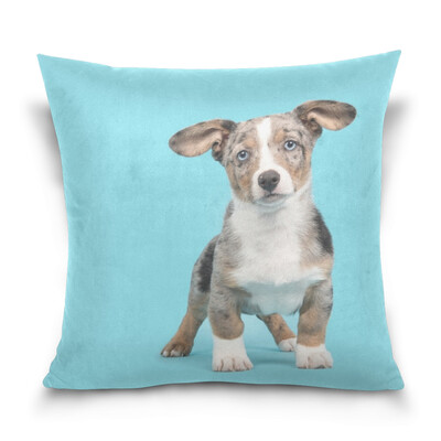 

ALAZA Throw Pillow Case Decorative Pillow Covers 16 X 16 inch Welsh Corgi Puppy Picture Pattern Pillowcase