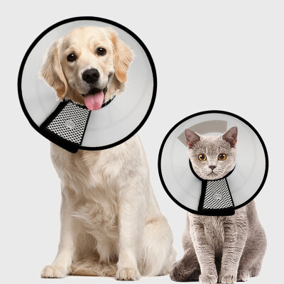 

Chinese animal Elizabeth bed dog cat collar collar cat anti-circle ring cat pet dog head cover hood anti-biting dog supplies 4th 15 kg