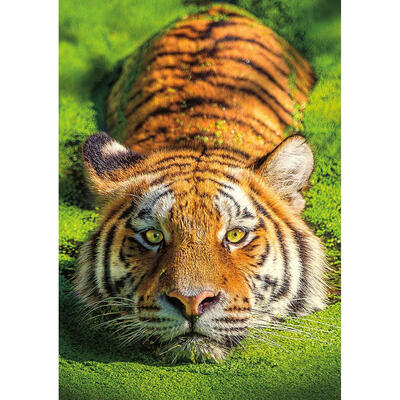 

5D DIY Full Drill Diamond Painting Cross Stitch Embroidery Kit Home Decor