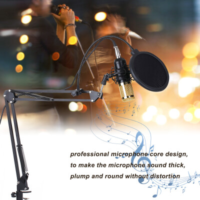 

BM800 Condenser Microphone Lit Pro Audio Studio Recording & Brocasting Adjustable Mic Suspension Scissor Arm Pop Filter SilveryGr