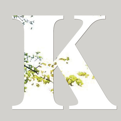 

〖Follure〗Mirror Wall Sticker 26 Letters DIY Art Mural Home Decor Acrylic Decals Silver A