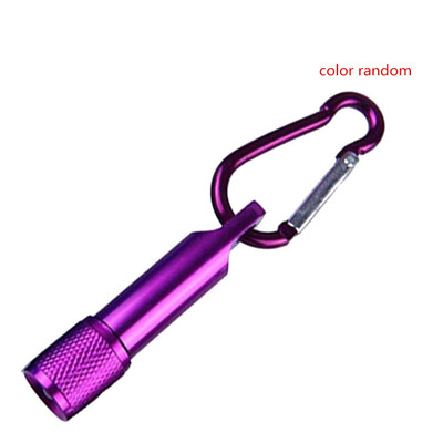 

Random Color Mini Pocket LED Flashlight Torch Key Chain Keyring Hook Home Outdoor Camping Hiking Accessories
