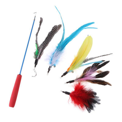 

Pet Cat Teaser Telescopic Rod with 5pcs Feather Replacement Heads Cat Stick