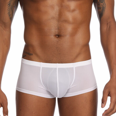 

Tailored Mens Sexy Solid Ice Silk Pouch Pants Underwear Soft Briefs Panties Underpants