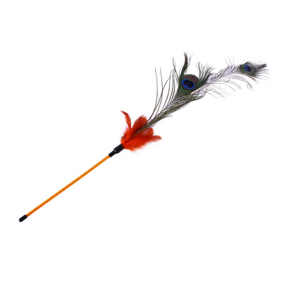 

New Cat Funny Cat Stick Peacock Hair Acrylic Design Orange Pet Durable And Interesting Peacock Feathers Toys Interactive Cat Toy