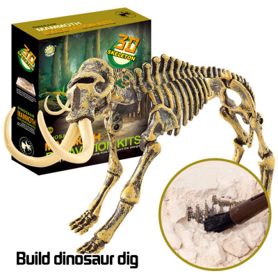 

Gobestart Dinosaur Toys Science Educational Dig Kit Dinosaur Fossil Excavation Kits