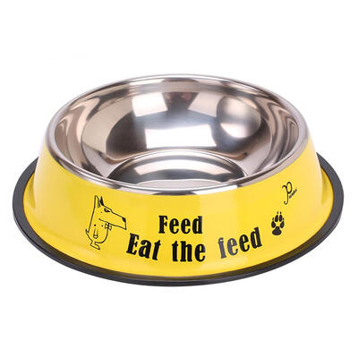 

Cartoon Stainless Steel Pet Feeding Bowl Dog Drink Water Feeder Food Dish