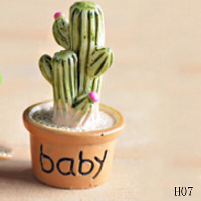 

landscape Garden Miniature Moss micro landscape Ecological Individual Ecological Craft Pot