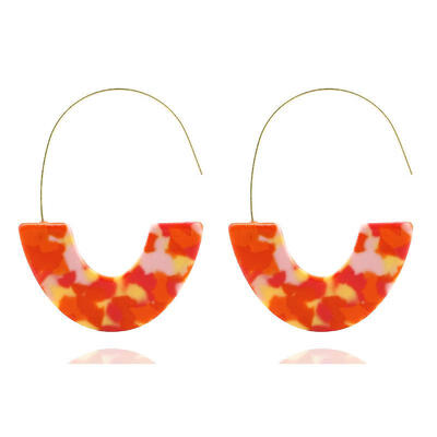 

Hot Sale Fashion Leopard Print Big Hook Earrings Special Design Bohemian Semicircle Resin Dangle Drop Earrings For Women Brincos