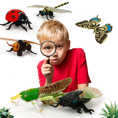 

YIWULA6PCS Educational Science Toy Simulated Insect Model Toy For Kids Children