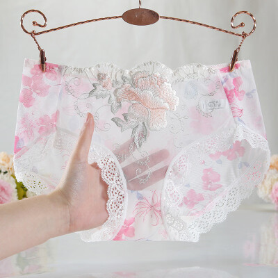 

Womens Lace Panties Sexy Lingerie Underwear Briefs Sheer Knickers Underpants