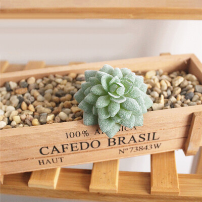 

Artificial Succulent Plant Concise Modern Home Office Table Decoration