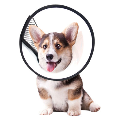 

Dream Bubble Elizabeth Circle Dog Collar Dog Head Set Cat Collar Pet Dog Collar Cat Head Cover Anti-Bite Circle Dog Supplies No 6