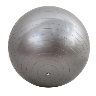 

75cm Fitness Exercise Gym Fit Yoga Core Ball Multi-use Indoor Fitness Training Yoga Ball