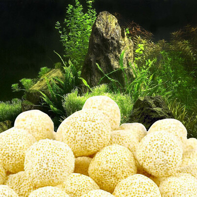 

Siaonvr 10Pcs Aquarium Porous Ceramic Filter Media Net Bag Biological Ball Fish Tank