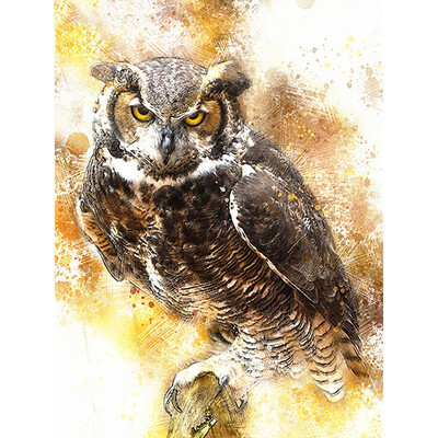 

Diamond Painting Owl Diamond Embroidery Full Display Birds Diamond Mosaic Sale Pictures With Rhinestones Home Decoration