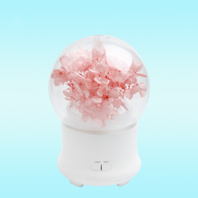 

〖Follure〗Everlasting Flower Night Light Air Humidifier Essential Oil Diffuser Mist