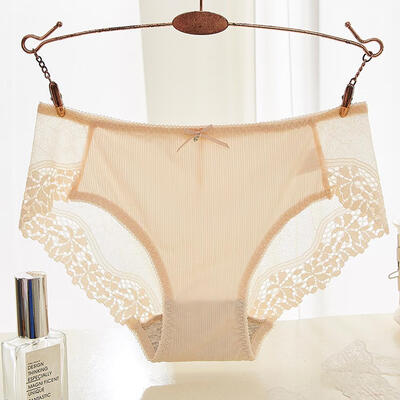 

Womens Panties Lace Seamless Transparent Mesh Low Waist Sexy Womens Briefs Fancy Lace Lingerie calcinha renda