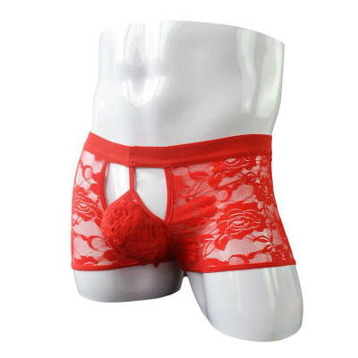 

Men See Through Underwear Boxer Briefs Hollow Out Lace Knickers Thong Underpants