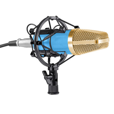 

BM-700 Studio Broadcasting Recording Condenser Microphone
