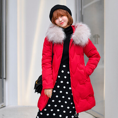 

Roseonmyhand Women Winter Warm Coat Hooded Thick Warm Loose Pocket Jacket Long Overcoat
