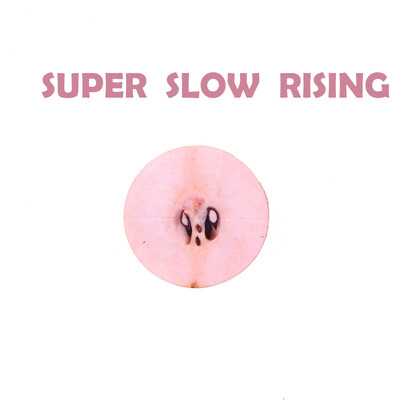 

Gotoamei Cute Small Fruits Stress Reliever Scented Super Slow Rising Toy