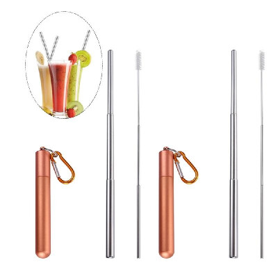 

Portable Collapsible Straw Reusable 304 Stainless Steel Metal Drinking 230MM Straws with Cleaning Brush & Climbing Hook