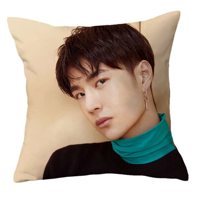 

1Pc Chen Qingling Wang Yibo Pillow Case Cover Cushion Sofa Car Winter Home Decor