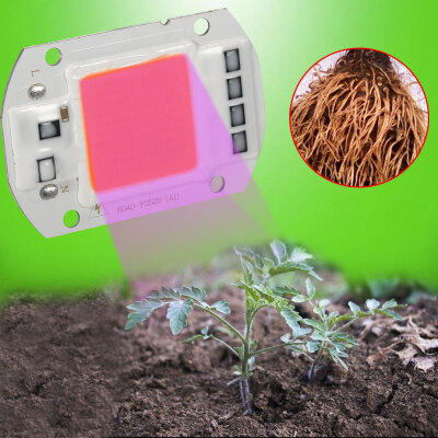 

110V Full Spectrum Led COB Chip Grow Light Growth Lamp Garden Hydroponic Plant 20W30W50WCOB LedLed Grow Lamp