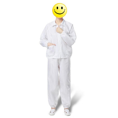 

A Suit of Factory Anti-Static Safety Dust-proof Clothes Workwear Clean Room Protective Suit for Food Shop Medical Paint Spraying W