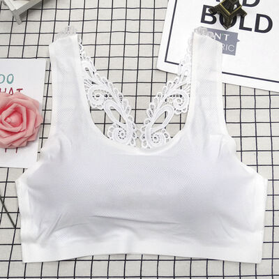 

Womens New Fashion 3 Solid Colors Ice Silk Seamless Lace Edge Beauty Back Padded Bra Woman Ladies Bra