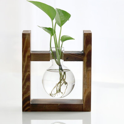 

Toponeto Creative Hydroponic Plant Transparent Vase Wooden Frame Coffee Shop Room Decor