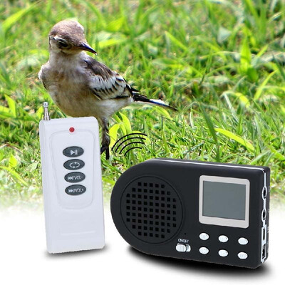 

Outdoor Hunting Decoy Bird Caller Mp3 Bird Sound Loudspeaker Amplifier with Remote Control