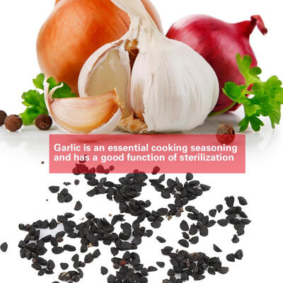 

Greensen 100pcsBag Garlic Seed Bonsai Potted Plant Cultivation Home Garden Healthy Vegetable Seeds Plant Seeds Garlic Seeds