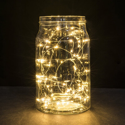

Gobestart 3M 30LED Button Cell Powered Silver Copper Wire Mini Fairy String Lights