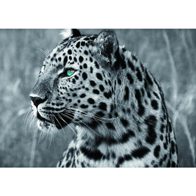 

5D DIY Diamond Painting Leopard Animal Cross Stitch Embroidery Rhinestones