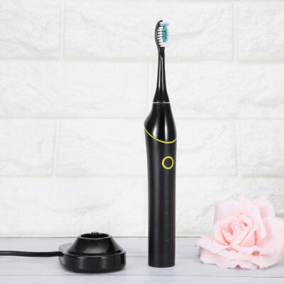 

Greensen Sonic Electric Toothbrush Rechargeable Toothbrush with 2 Replacement Heads IPX7 Waterproof