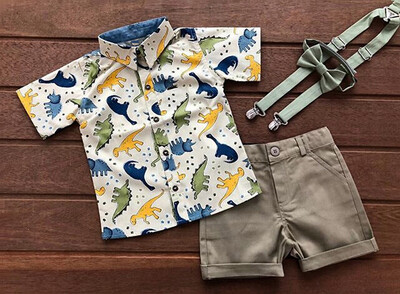 

Toddler Kids Baby Boys Summer Dinosaur Tops T-shirtPants Shorts Outfits Sets