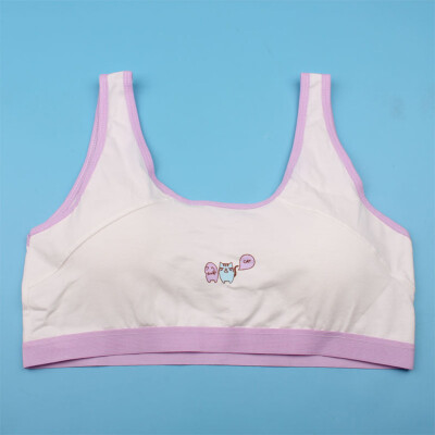 

Kids Girls Underwear Foam Bra Vest Children Underclothes Sport Undies Clothes