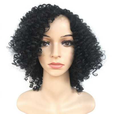 

FZP Hot brazilian Hair African Ameri short kinky Curly Wig Simulation Human Hair short curly full wigs in stock