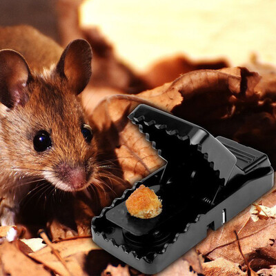 

〖Follure〗Easy Reusable Rat Trap Catching Mice Mouse Mousetrap Spring Rodent Trap