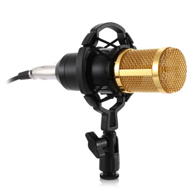 

ZEEPIN BM - 800 Professional Condenser Microphone Studio Broadcasting Recording