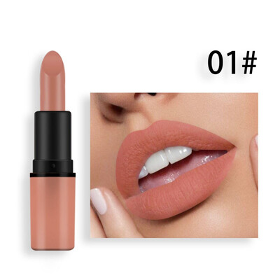 

Lips Makeup Waterproof Long Lasting Pigment Pink Shimmer Lipstick Luxury Makeup