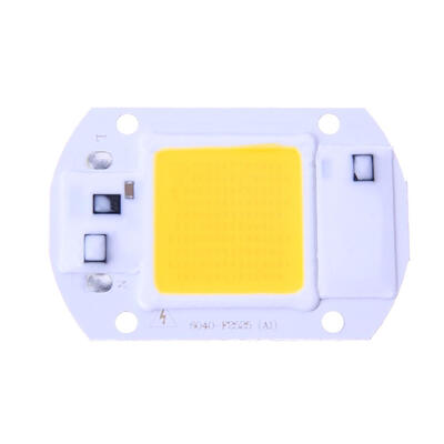 

20W LED Floodlights COB Chip 220V Input Integrated Smart IC Driver
