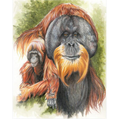 

5D DIY Full Drill Diamond Painting Orangutan Animal Cross Stitch Embroidery