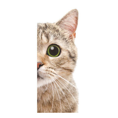 

Modern DIY PVC Cute Animal Removable Wall Stickers Background Home Decor