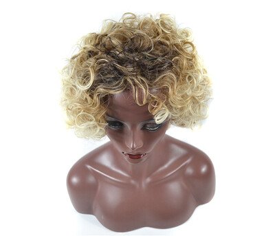 

Gobestart Density Natural Hairline Women Sprial Spring Curls Kinky Synthetic Lace Wig