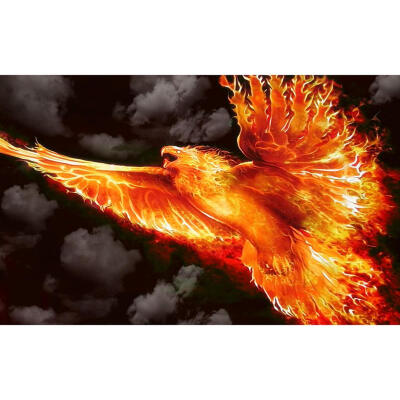 

5D DIY Full Drill Diamond Painting Fire Bird Cross Stitch Embroidery Kits